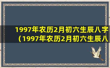 1997年农历2月初六生辰八字（1997年农历2月初六生辰八字是什么）