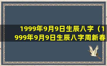 1999年9月9日生辰八字（1999年9月9日生辰八字周新春易）