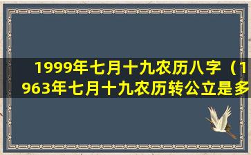 1999年七月十九农历八字（1963年七月十九农历转公立是多少）