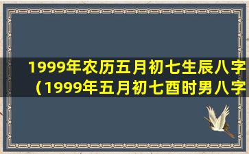 1999年农历五月初七生辰八字（1999年五月初七酉时男八字怎么排*）