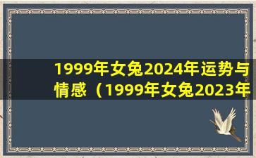 1999年女兔2024年运势与情感（1999年女兔2023年运势与情感）