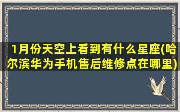 1月份天空上看到有什么星座(哈尔滨华为手机售后维修点在哪里)