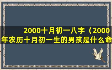 2000十月初一八字（2000年农历十月初一生的男孩是什么命）