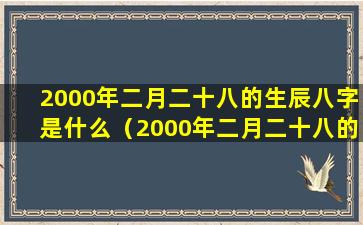 2000年二月二十八的生辰八字是什么（2000年二月二十八的生辰八字是什么意思）