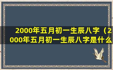 2000年五月初一生辰八字（2000年五月初一生辰八字是什么）