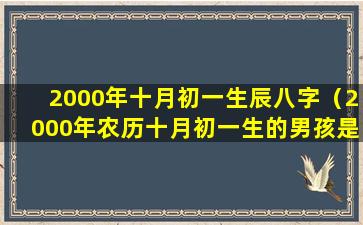 2000年十月初一生辰八字（2000年农历十月初一生的男孩是什么命）