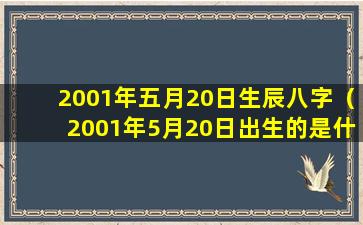 2001年五月20日生辰八字（2001年5月20日出生的是什么星座）