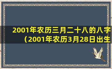 2001年农历三月二十八的八字（2001年农历3月28日出生的是什么星座）