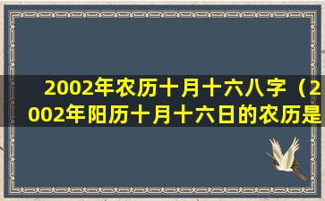 2002年农历十月十六八字（2002年阳历十月十六日的农历是多少）