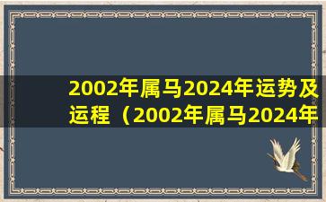 2002年属马2024年运势及运程（2002年属马2024年运势及运程详解狗年出生）