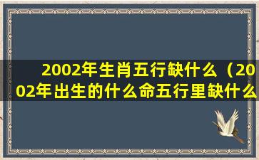 2002年生肖五行缺什么（2002年出生的什么命五行里缺什么需要补什么）