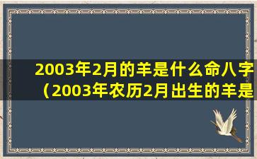 2003年2月的羊是什么命八字（2003年农历2月出生的羊是什么命）