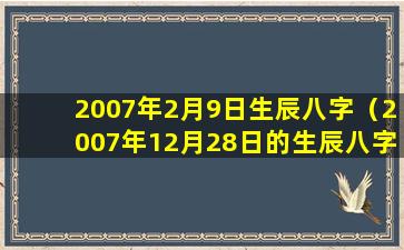 2007年2月9日生辰八字（2007年12月28日的生辰八字）