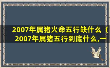 2007年属猪火命五行缺什么（2007年属猪五行到底什么,一会火,一会土,一会水）