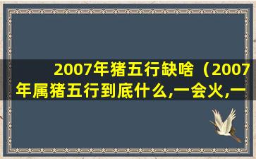 2007年猪五行缺啥（2007年属猪五行到底什么,一会火,一会土,一会水）