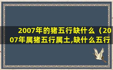 2007年的猪五行缺什么（2007年属猪五行属土,缺什么五行）