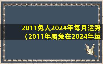 2011兔人2024年每月运势（2011年属兔在2024年运势及运程）