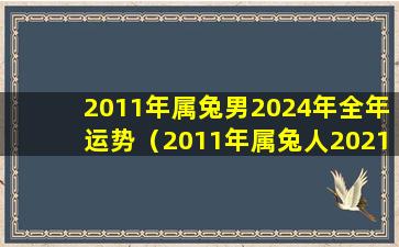 2011年属兔男2024年全年运势（2011年属兔人2021年运势运程每月运程）