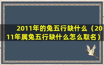 2011年的兔五行缺什么（2011年属兔五行缺什么怎么取名）