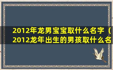 2012年龙男宝宝取什么名字（2012龙年出生的男孩取什么名好）