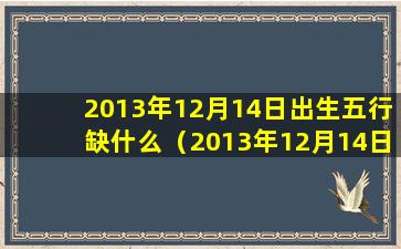 2013年12月14日出生五行缺什么（2013年12月14日出生的人是什么星座）