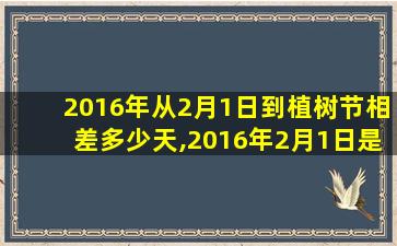 2016年从2月1日到植树节相差多少天,2016年2月1日是星期一,*想在3月12日植树节这一天