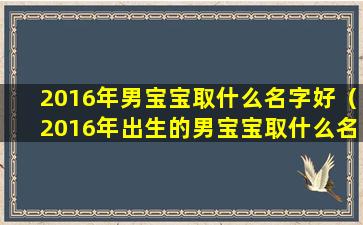 2016年男宝宝取什么名字好（2016年出生的男宝宝取什么名字好）