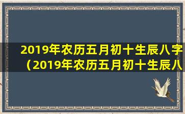 2019年农历五月初十生辰八字（2019年农历五月初十生辰八字是什么）