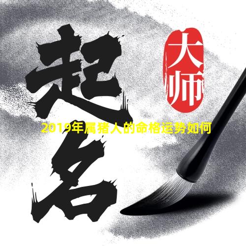 2019年属猪人的命格运势如何