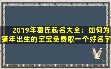 2019年葛氏起名大全：如何为猪年出生的宝宝免费取一个好名字