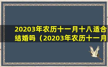 20203年农历十一月十八适合结婚吗（20203年农历十一月十八适合结婚吗为什么）