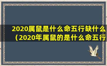 2020属鼠是什么命五行缺什么（2020年属鼠的是什么命五行缺什么）