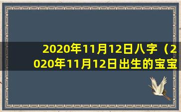 2020年11月12日八字（2020年11月12日出生的宝宝五行）