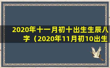 2020年十一月初十出生生辰八字（2020年11月初10出生的小孩取什么名字好）