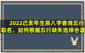 2022己亥年生辰八字查询五行取名，如何根据五行缺失选择合适的名字