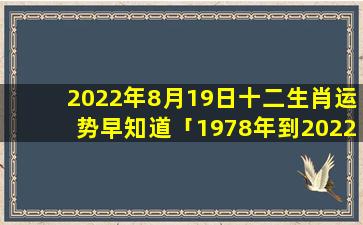 2022年8月19日十二生肖运势早知道「1978年到2022年多少岁」