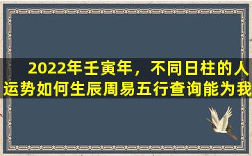 2022年壬寅年，不同日柱的人运势如何生辰周易五行查询能为我们提供哪些指引