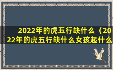 2022年的虎五行缺什么（2022年的虎五行缺什么女孩起什么小名好）