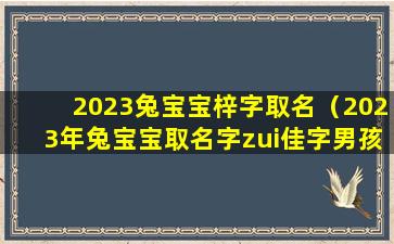 2023兔宝宝梓字取名（2023年兔宝宝取名字zui佳字男孩）