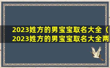 2023姓方的男宝宝取名大全（2023姓方的男宝宝取名大全两个字）