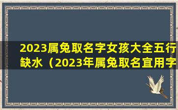 2023属兔取名字女孩大全五行缺水（2023年属兔取名宜用字大全）