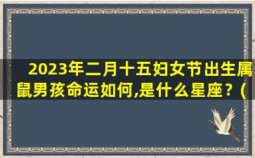 2023年二月十五妇女节出生属鼠男孩命运如何,是什么星座？(2023年2月出生）