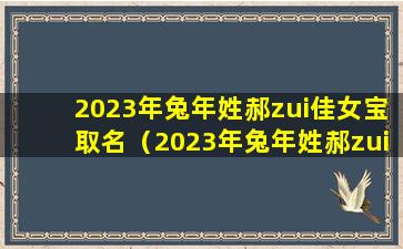 2023年兔年姓郝zui佳女宝取名（2023年兔年姓郝zui佳女宝取名是什么）