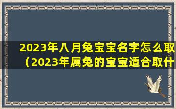 2023年八月兔宝宝名字怎么取（2023年属兔的宝宝适合取什么名字）