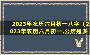 2023年农历六月初一八字（2023年农历六月初一,公历是多少号）