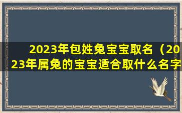 2023年包姓兔宝宝取名（2023年属兔的宝宝适合取什么名字）