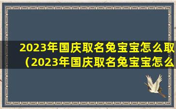 2023年国庆取名兔宝宝怎么取（2023年国庆取名兔宝宝怎么取好听）