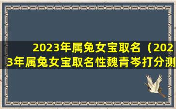 2023年属兔女宝取名（2023年属兔女宝取名性魏青岑打分测试）