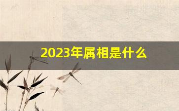 2023年属相是什么