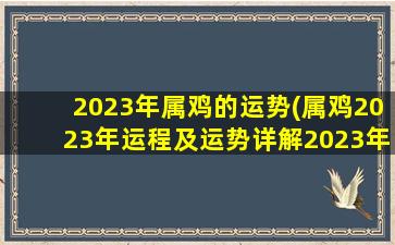 2023年属鸡的运势(属鸡2023年运程及运势详解2023年属鸡人全年每月运势)